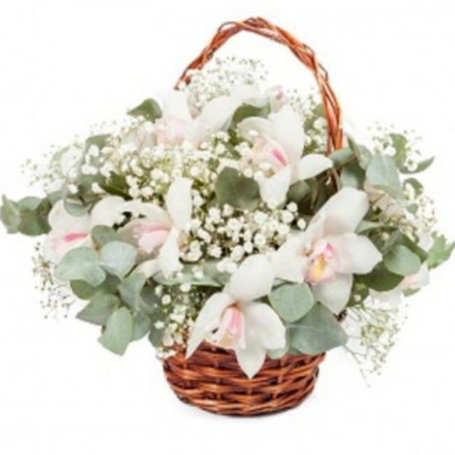 Пудровые облака Пудровые облака